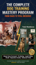 The Complete Dog Training Mastery Program: From Chaos to Total Obedience